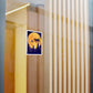 Star Cat Sticker